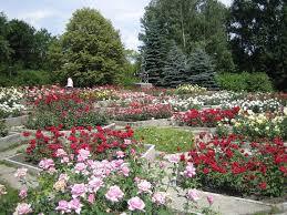 Rosarium w Parku Śląskim
